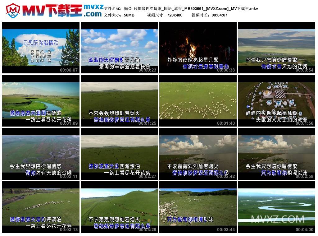 梅朵-只想陪你唱情歌_国语_流行_MB303661